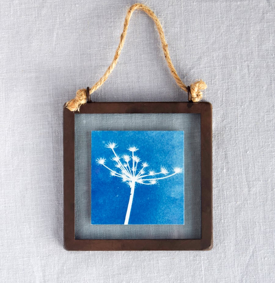 Seed Head Cyanotype in industrial style metal and glass square frame
