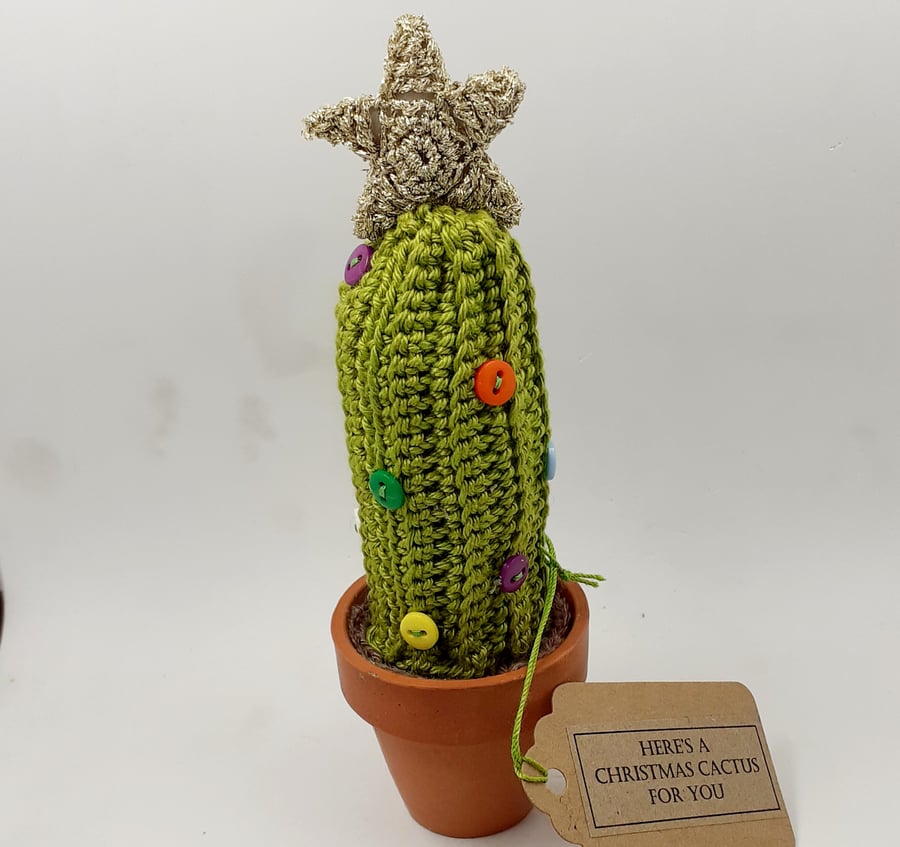 Crochet Christmas Cactus 