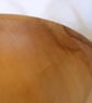 Small Horse chestnut food bowl 230 - Image 6