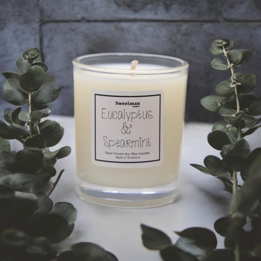Eucalyptus & Spearmint Candle