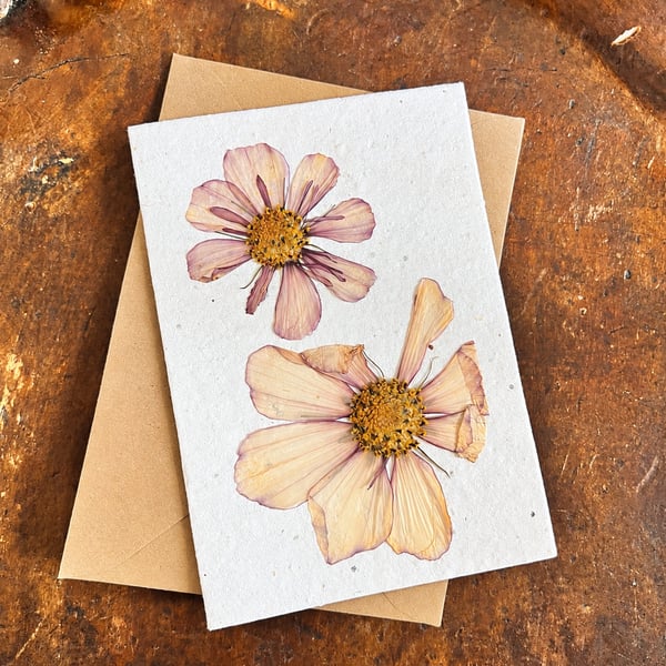 Nature Friendly Plantable Seed Paper Greeting Card 