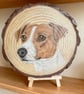 Hand Drawn Jack Russell Terrier on Natural Wood Slice