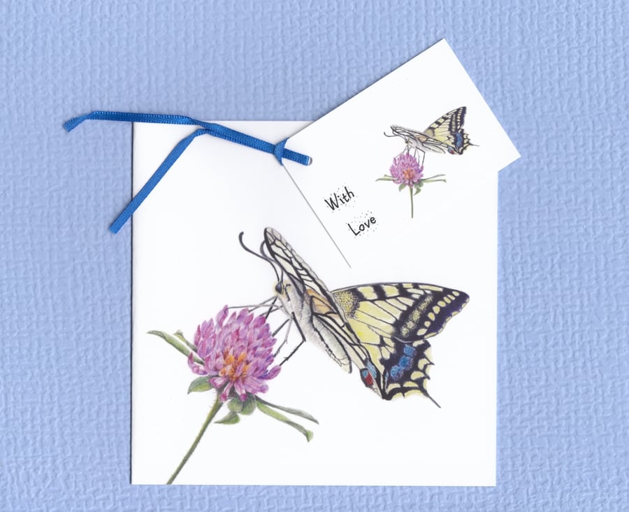 Swallowtail Butterfly Card and Gift Tag