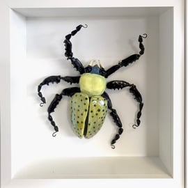 Ceramic Porcelain Bug Beetle - Tamsin