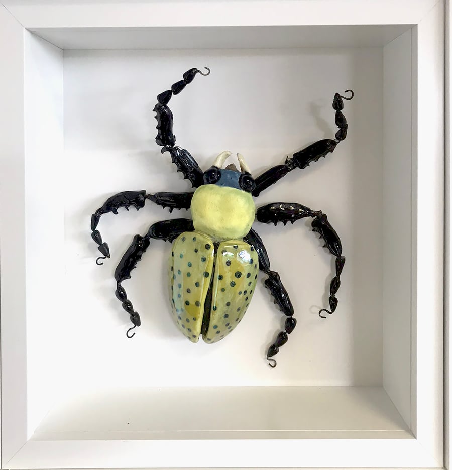 Ceramic Porcelain Bug Beetle - Tamsin