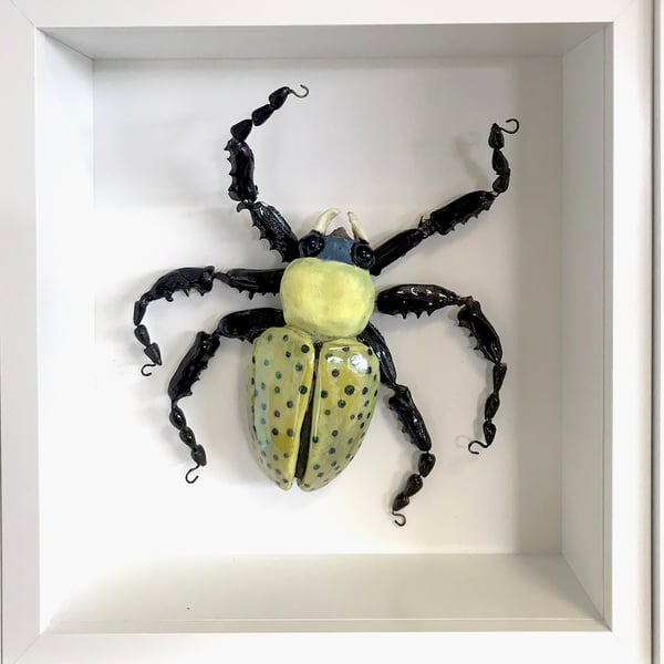 Ceramic Porcelain Bug Beetle - Tamsin