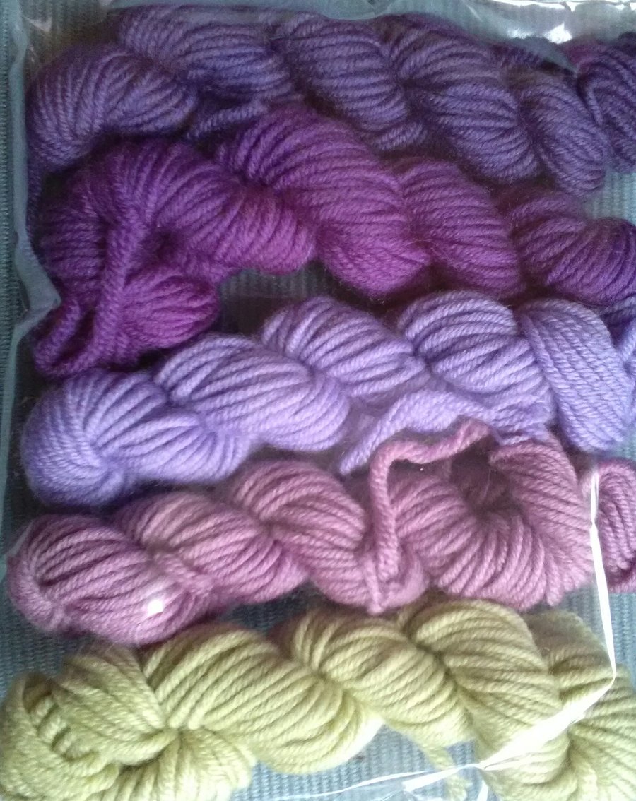 5 X 10g MINI SKEINS Extra Fine Merino superwash DK Iris mix