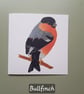 Dartmoor Bird Cards - single - Image 9