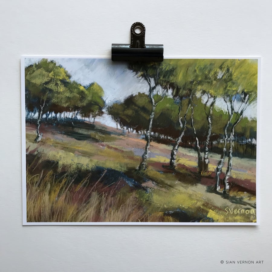 Birch Trees, Hathersage Moor - art print