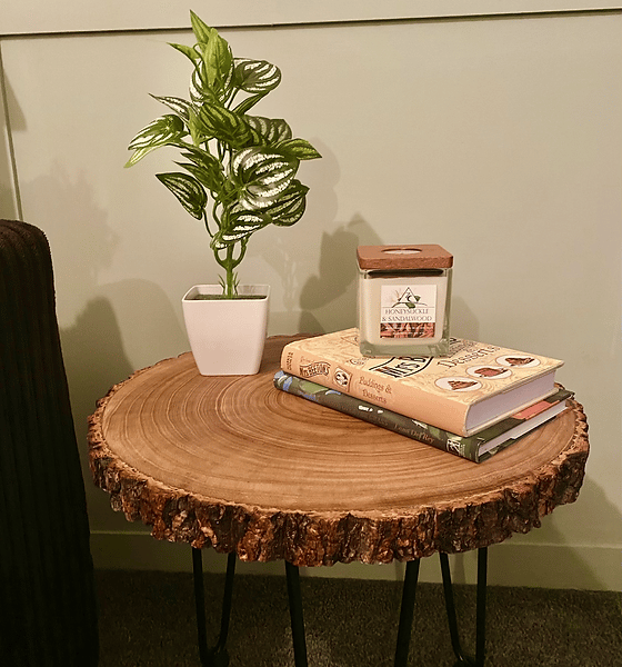 Tree Slice Coffee Table