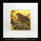 Jenny Wren- Giclee Print -Limited Edition