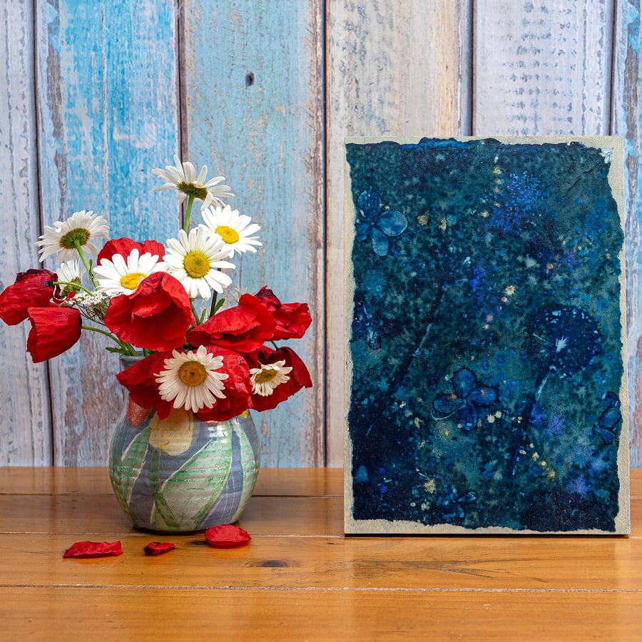 Allium Seedheads and Hydrangea Butterflies (SunPrint006)