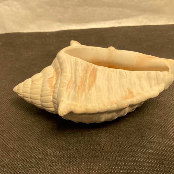  Conch shell made in white cement blend with terracotta highlights