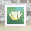 Blank Card Exotic Emperor Tulip Eco Friendly