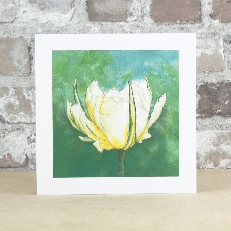 Blank Card Exotic Emperor Tulip Floral Card