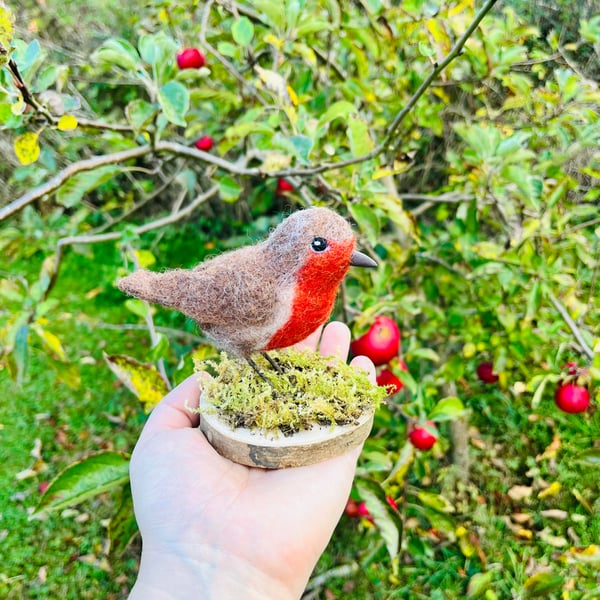 Needle Felted Robin - handmade decoration on wooden base with Suffolk moss