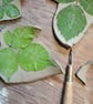 Hanging Cactus Planter - Image 3