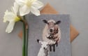 Printed greetings cards