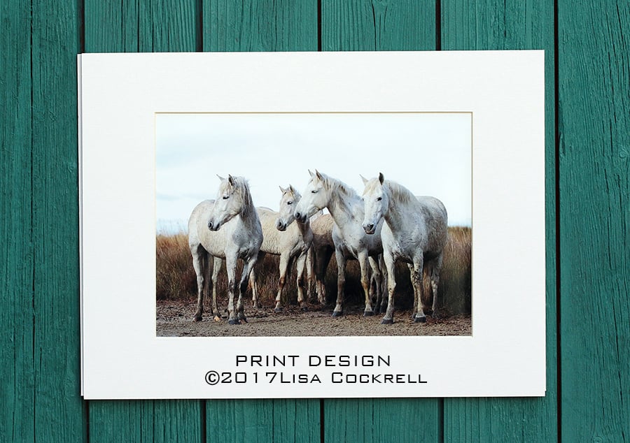 CAMARGUE HORSES PRINT (A4 approx) MOUNTED FOR 40 X 30 CM FRAME