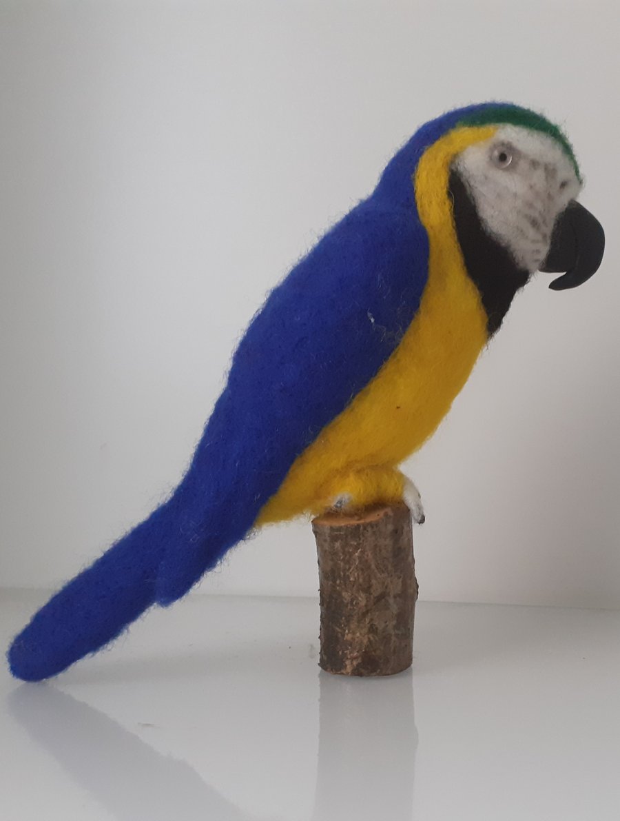 Parrot, ooak,collectable needle felted wool sculpture 