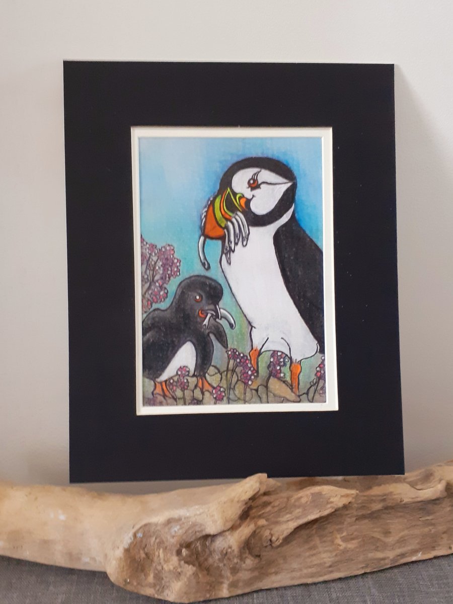 "Puffin and Puffling " ...Mum feeding chick mounted pastel drawing 