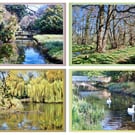 x4 Gooderstone Water Gardens Norfolk Greeting Cards A5