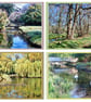 x4 Gooderstone Water Gardens Norfolk Greeting Cards A5