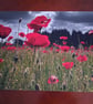 FIELD OF POPPIES PHOTO 16 X 12