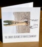 Croc; 13.5 cm square greetings card, blank inside