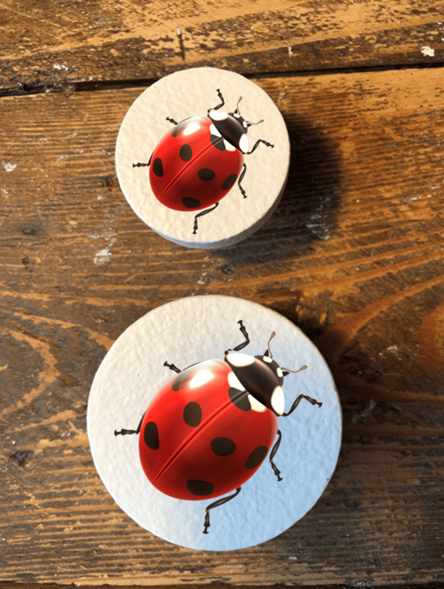 Handmade Ladybird pine door knobs wardrobe drawer handles decoupaged