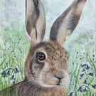 “Into the Bluebells” blank card 