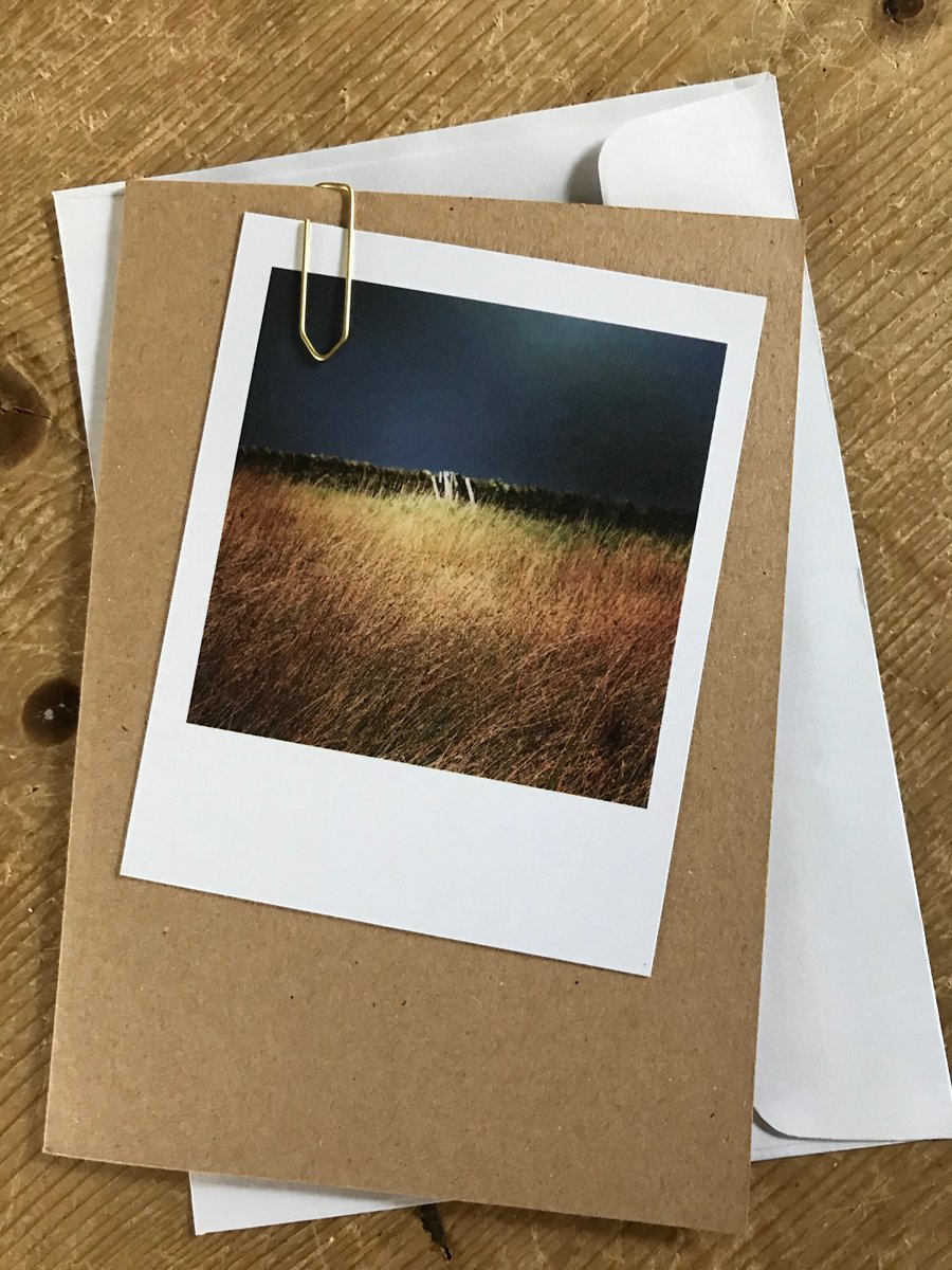 Set of 5 mixed “Polaroid” style photo cards: landscapes