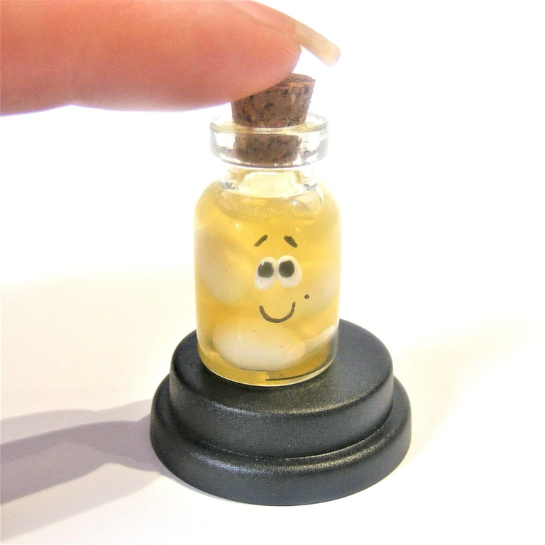 Pet Pickled Eggs, Egg gift, Hard boiled egg, Retro gift, Retro food