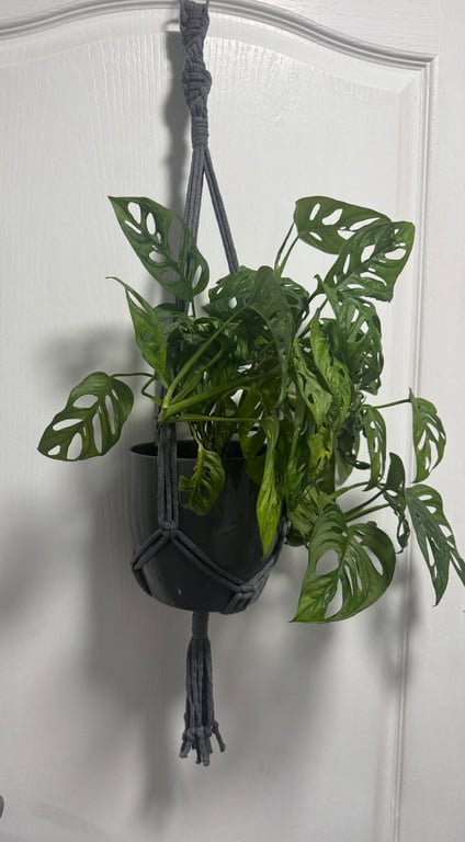 Handmade Grey Macramé Plant Hanger – Boho Indoor Planter Holder