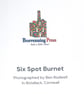 Blank Card A6 Portrait - Six Spot Burnet - Image 4