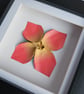 Red origami flower in a shadow box frame - Image 2