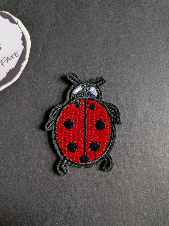 Ladybug - Embroidered Iron on Patch