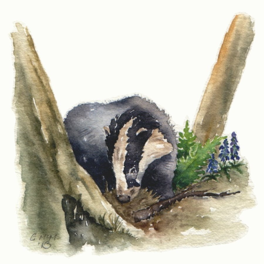 Watercolor sketch - Woodland Badger