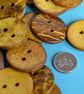Large Bright and Bold Yellow Coconut Shell Buttons 3pk 30mm - Image 2