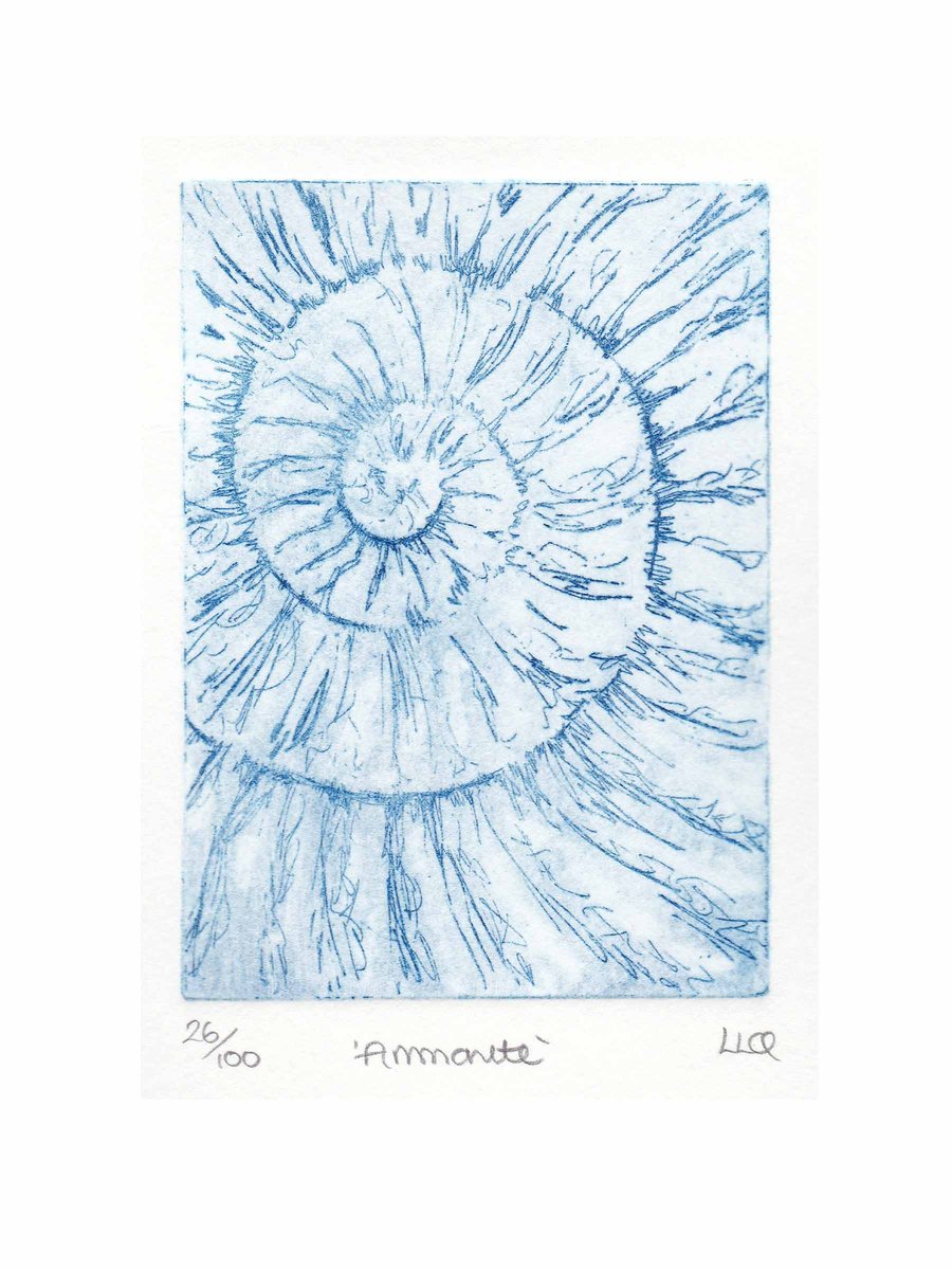 Etching no.26 of an ammonite fossil in an edition of 100