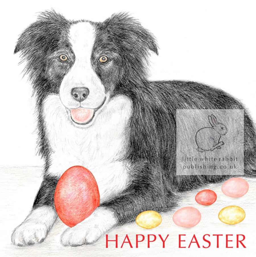 Ivy the Border Collie -  Easter Card