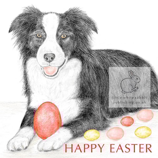 Ivy the Border Collie -  Easter Card