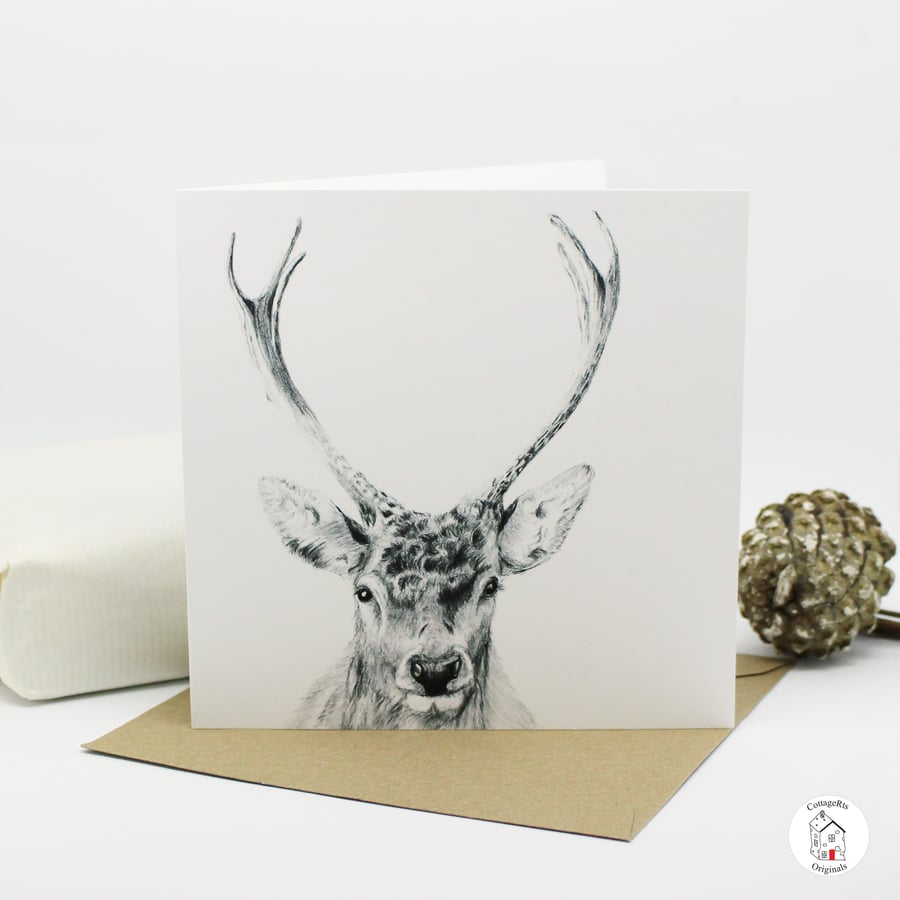 Greeting Card Stag, Deer, Autumn, Winter, Christmas Card Hand Designed