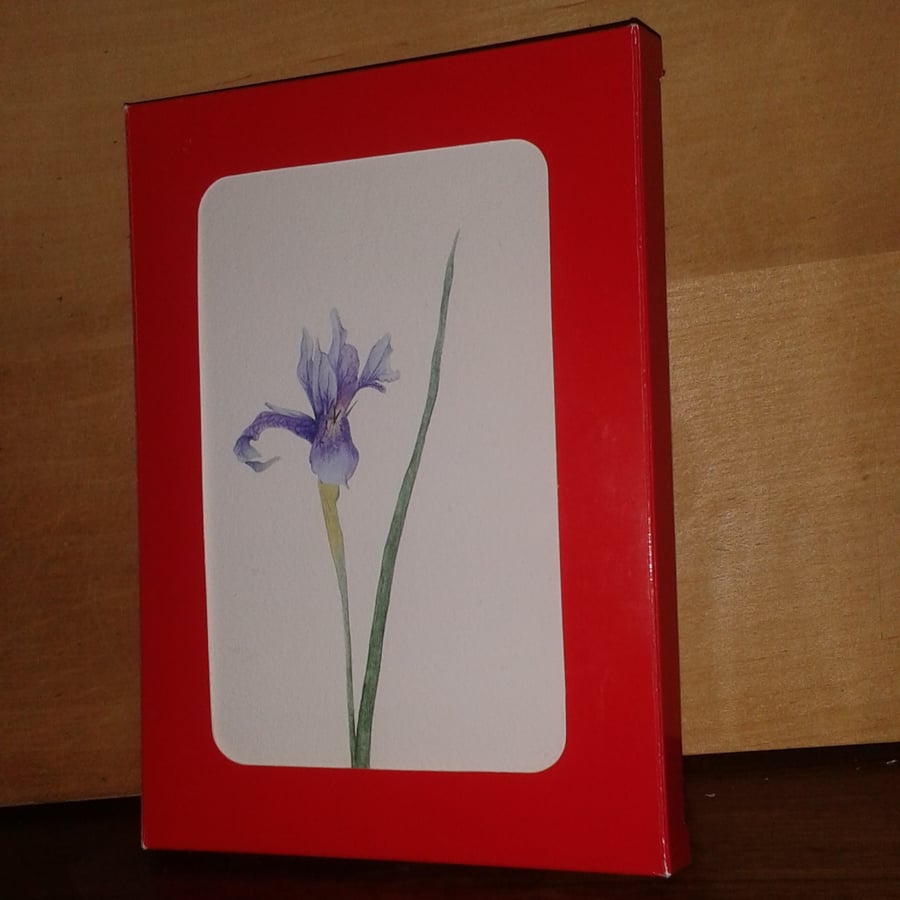 Box of 5 Blue Iris handmade flower note cards
