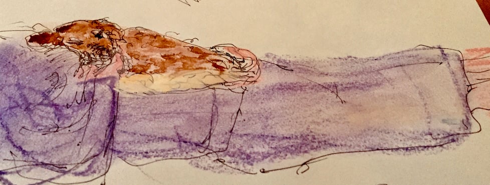 Willows Art