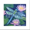Spirit of Dragonfly Card