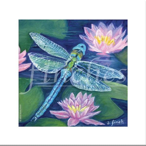 Spirit of Dragonfly Card