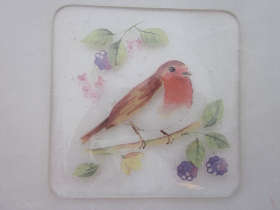  Handmade fused glass coaster - Robin with blackberries (b)