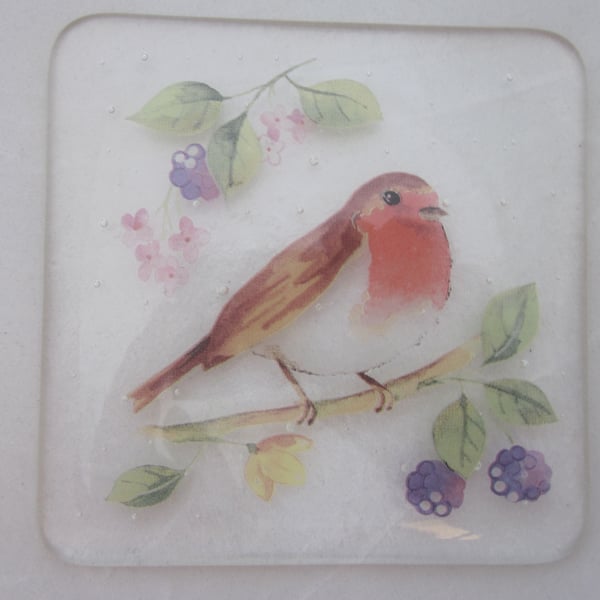  Handmade fused glass coaster - Robin with blackberries (b)