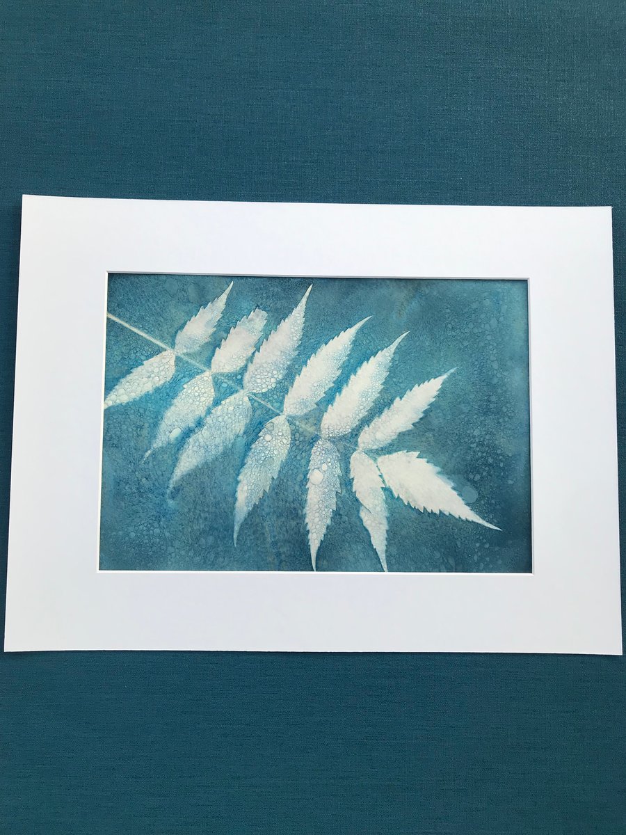 Botanical Art, Original Art. Cyanotype Art 